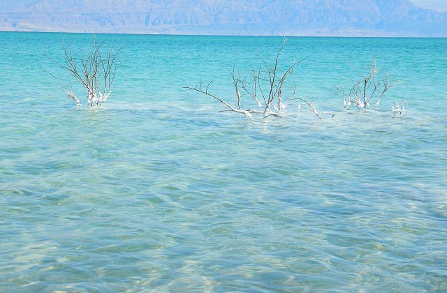 Don't Be Like The Dead Sea