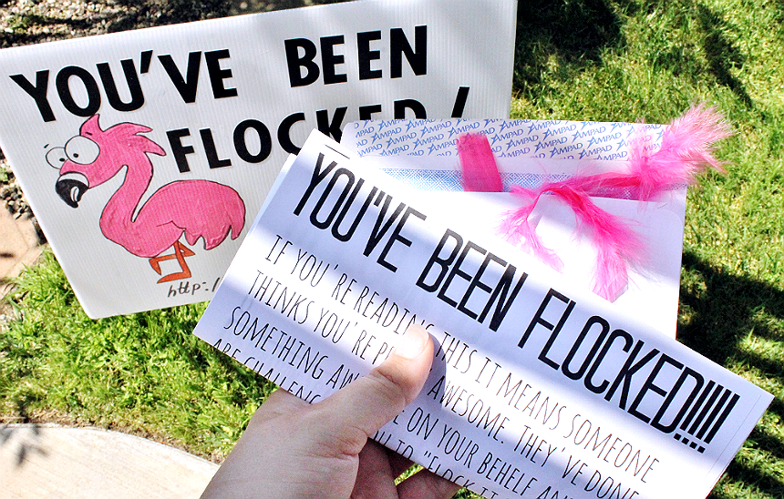 #RaiseLove and have fun with a unique 'You've Been Flocked' fundraiser in your community! #Sponsored