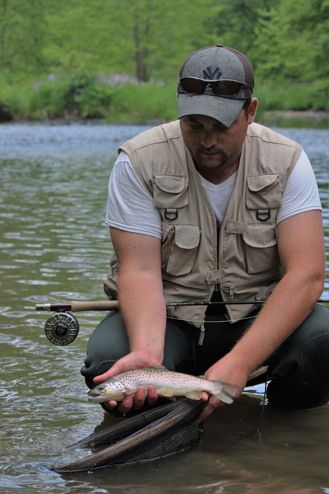 WNY Fly Fishing WNY Fly Fishing Stream Report Trout Camp 6/11/2016