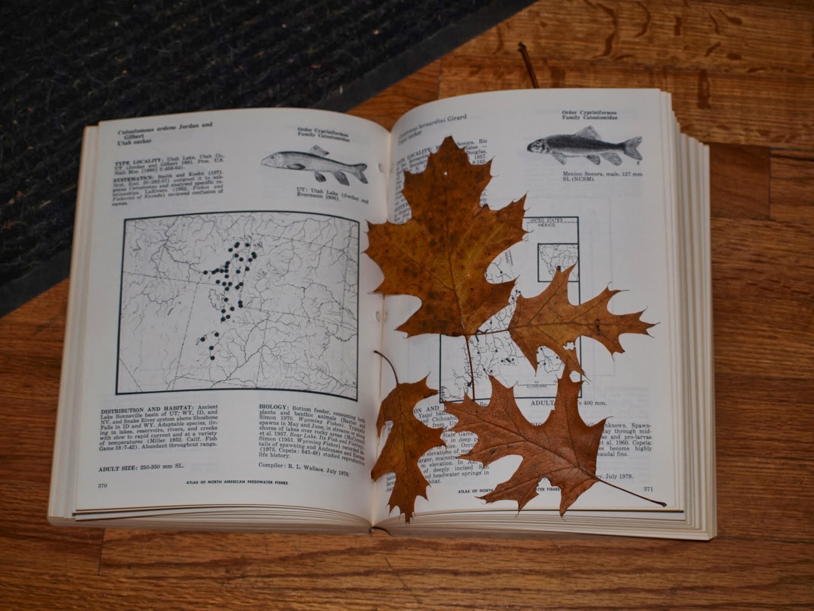 A Life Inspired by Nature Naturalist Niche