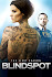 Blindspot Poster