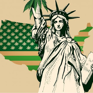 cannabis law