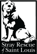 Stray Rescue!
