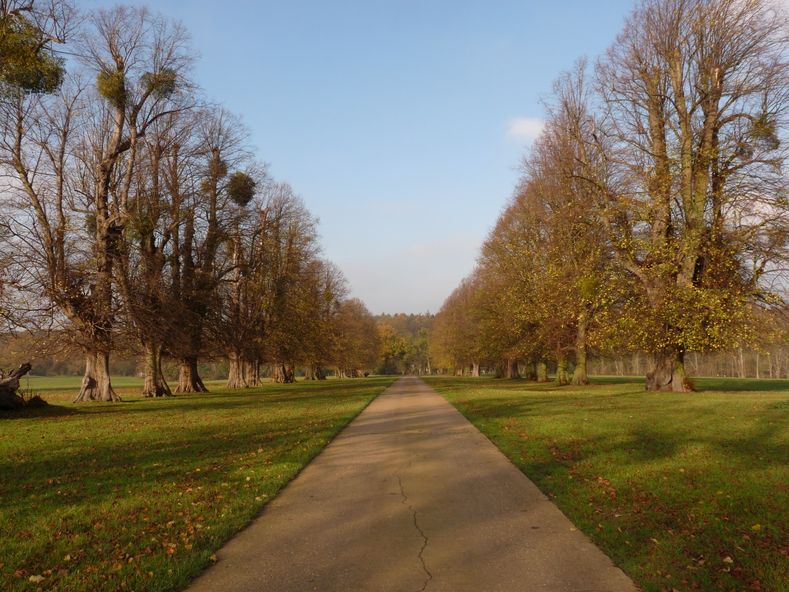 Robert Chapman's Wildlife Photography Knebworth Park and Gardens