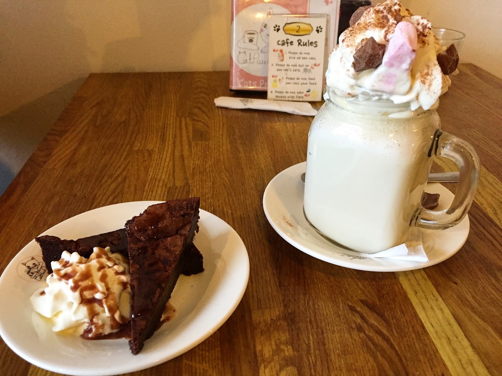 CatPawCino The Quayside Cat Cafe Newcastle Family Life