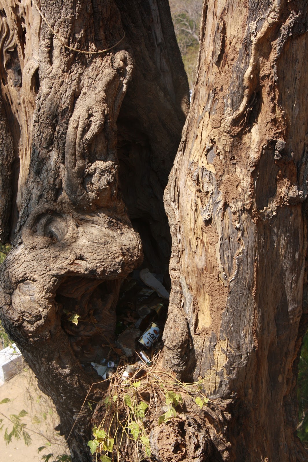 Kolli Hills The Sad Part