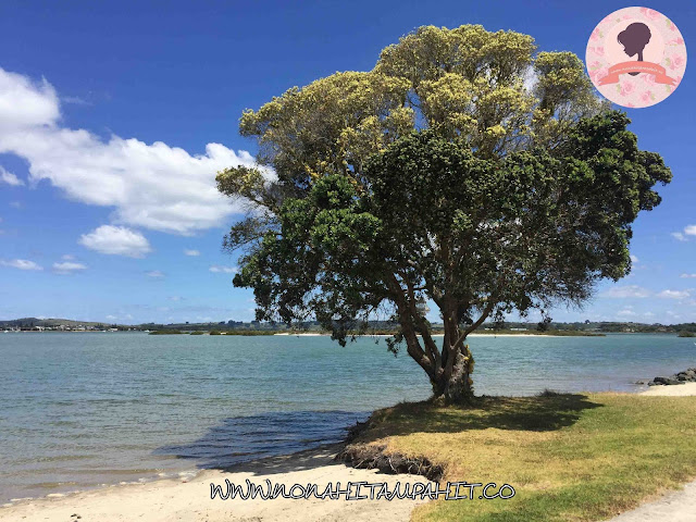WHANGATEAU_INLET_NONA_HITAM_PAHIT WHANGATEAU_INLET_NONA_HITAM_PAHIT