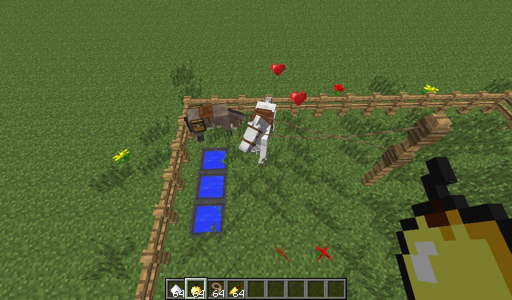 NextCraft Minecraft, Horses And Donkeys.