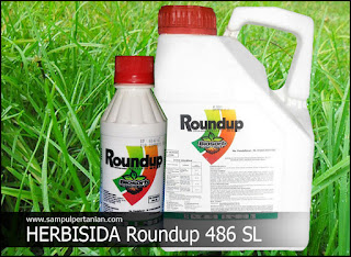Herbisida ROUNDUP 486 SL