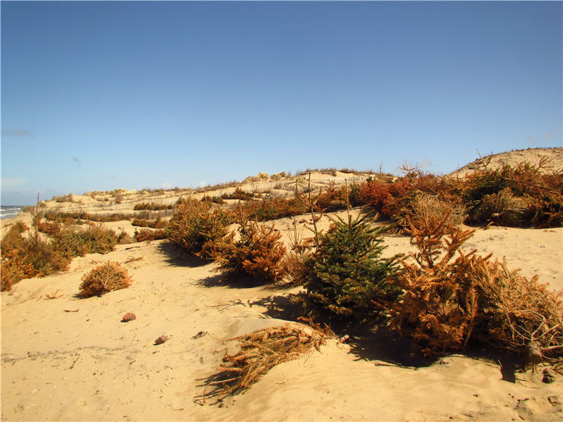 The story of our life returning to England from BrayesousFaye Formby