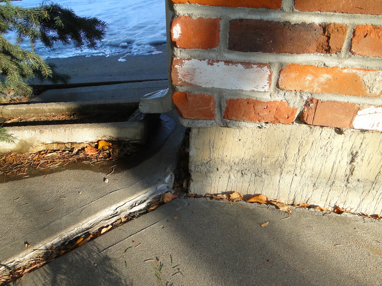 6096 S COVENTRY LANE, LITTLETON, CO 80123 Condition Report