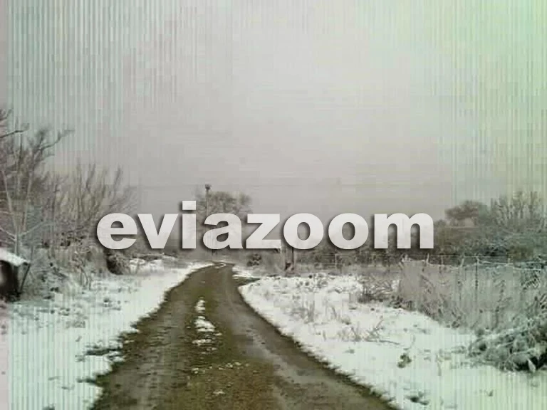 Ιστιαία: Ο χιονιάς ήρθε για να μείνει! (ΦΩΤΟ)