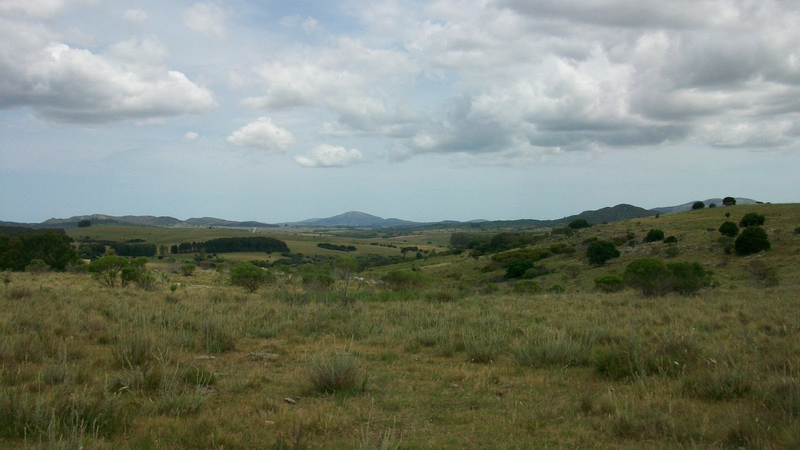 LAND FOR SALE IN URUGUAY FABULOUS TOURIST POTENTIAL OPORTUNIDAD