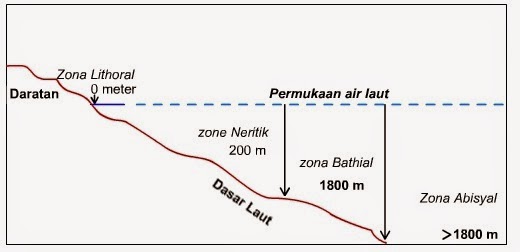 Gambar Zona Laut Jenis Macam Macamnya Ilmugeografi Gambar Zona Laut Jenis Macam Macamnya Ilmugeografi