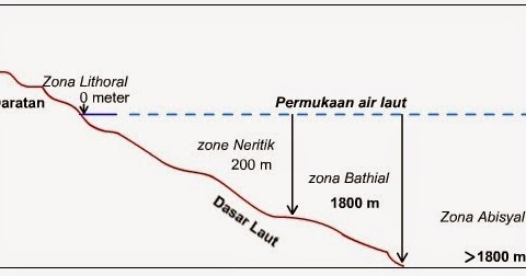 Zona Laut Berdasarkan Kedalamannya Alam Ikan Zona Laut Berdasarkan Kedalamannya Alam Ikan