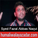 https://www.humaliwalyazadar.com/2018/09/syed-fazal-abbas-naqvi-nohay-2019.html