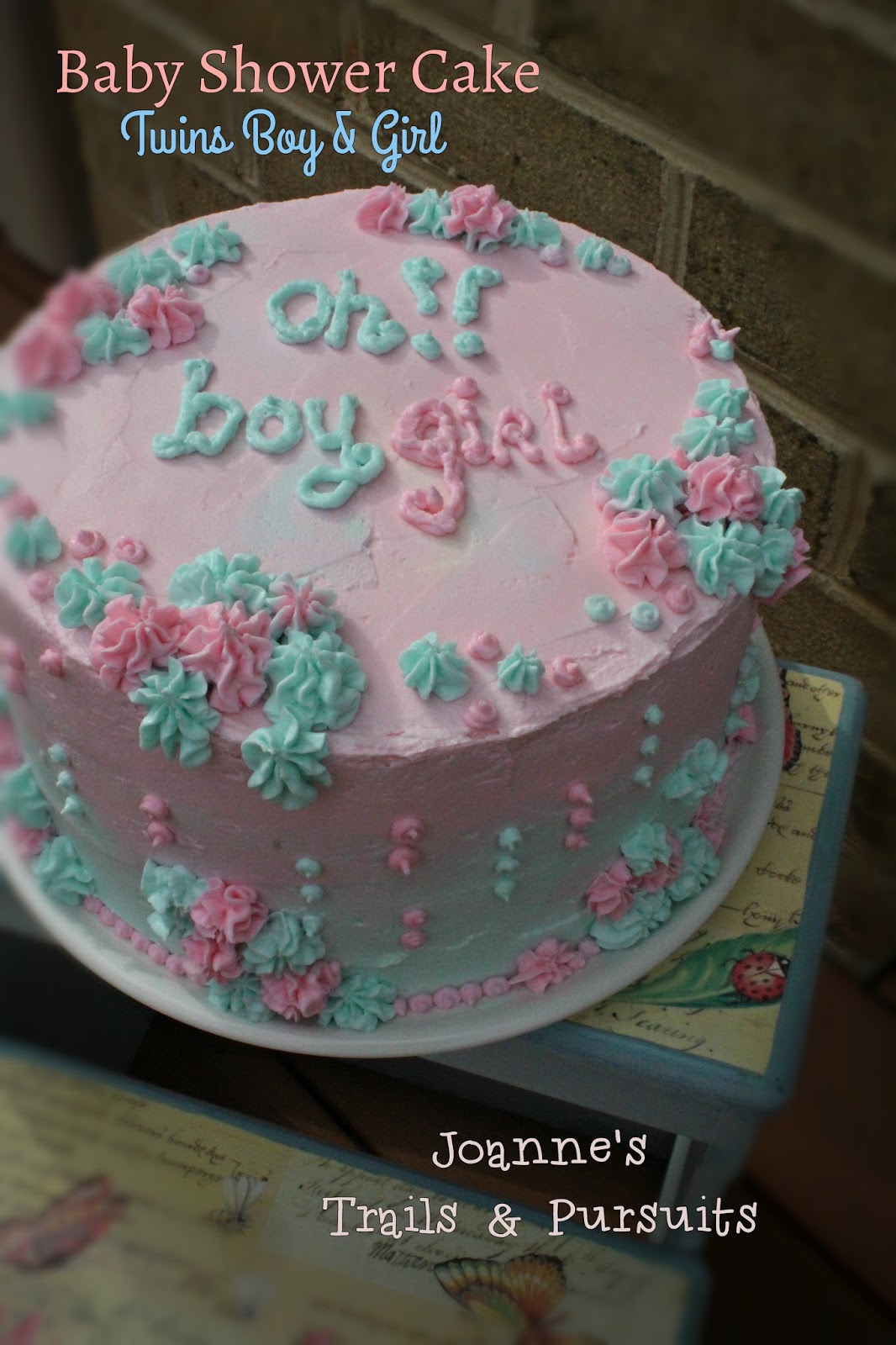 Joanne's Trails Pursuits Baby Shower Cake Twins Boy Girl IMG 8868a Baby Shower Cake Twins Boy Girlhtml
