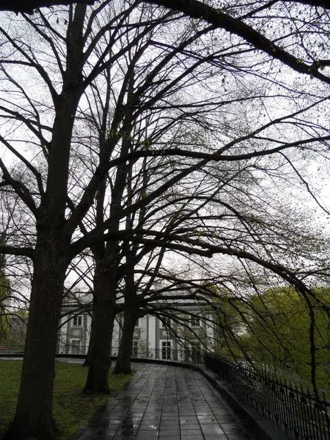 Tree-lined path near the palace in Tallinn, Estonia