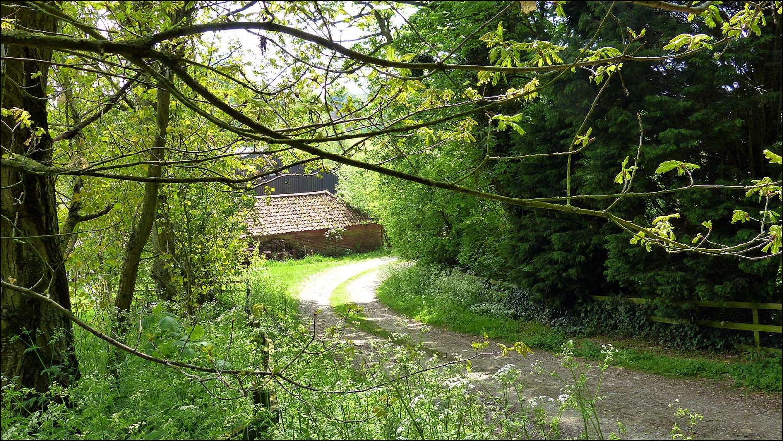 Lincolnshire Cam North Ormsby Valley