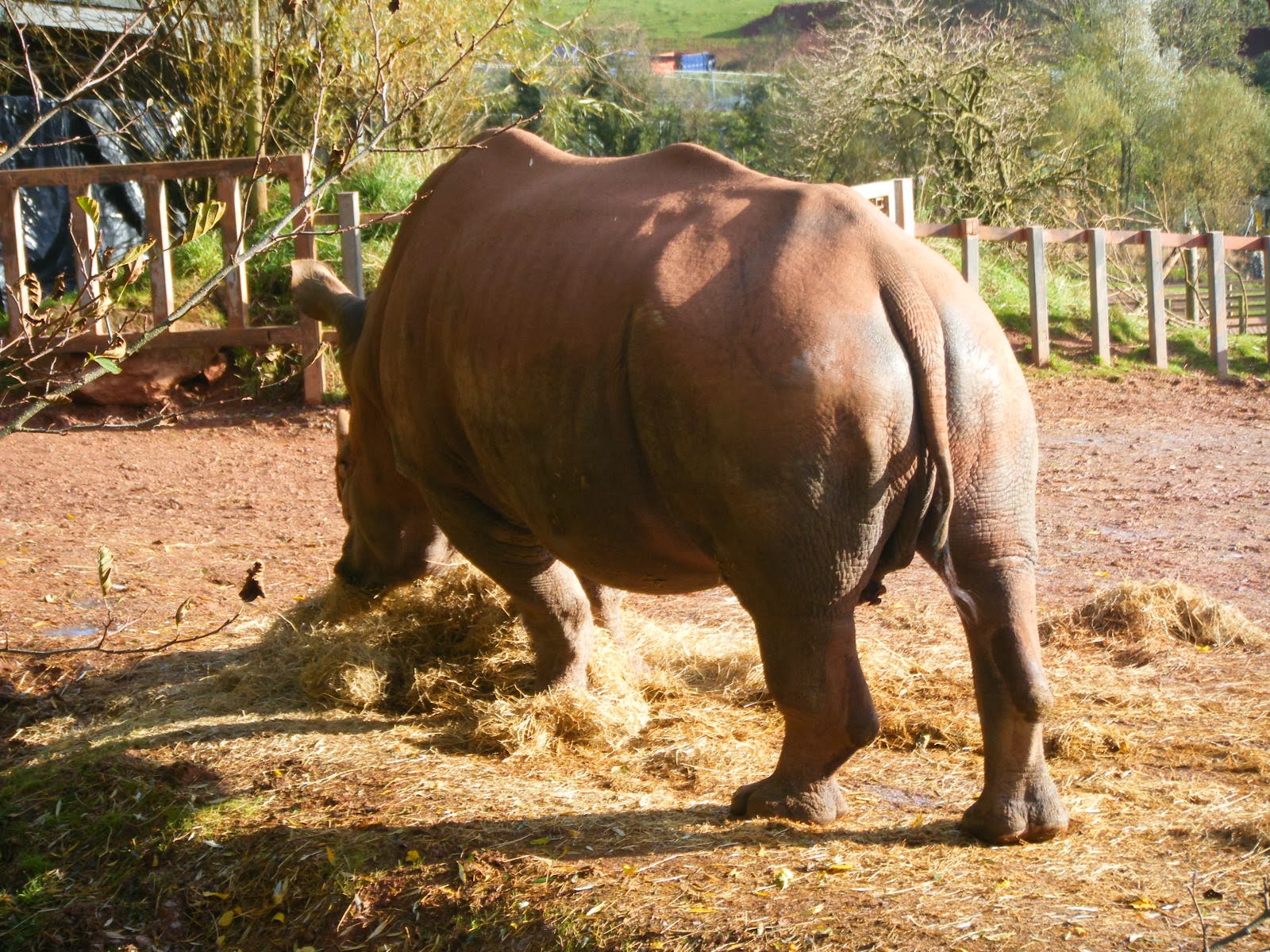 Muddy Brown's Blog South Lakes Wild Animal Park (Zoo)