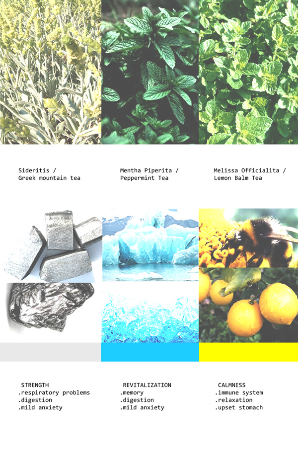 Real World Gardener Sage As Herbal In Plant Of The Week