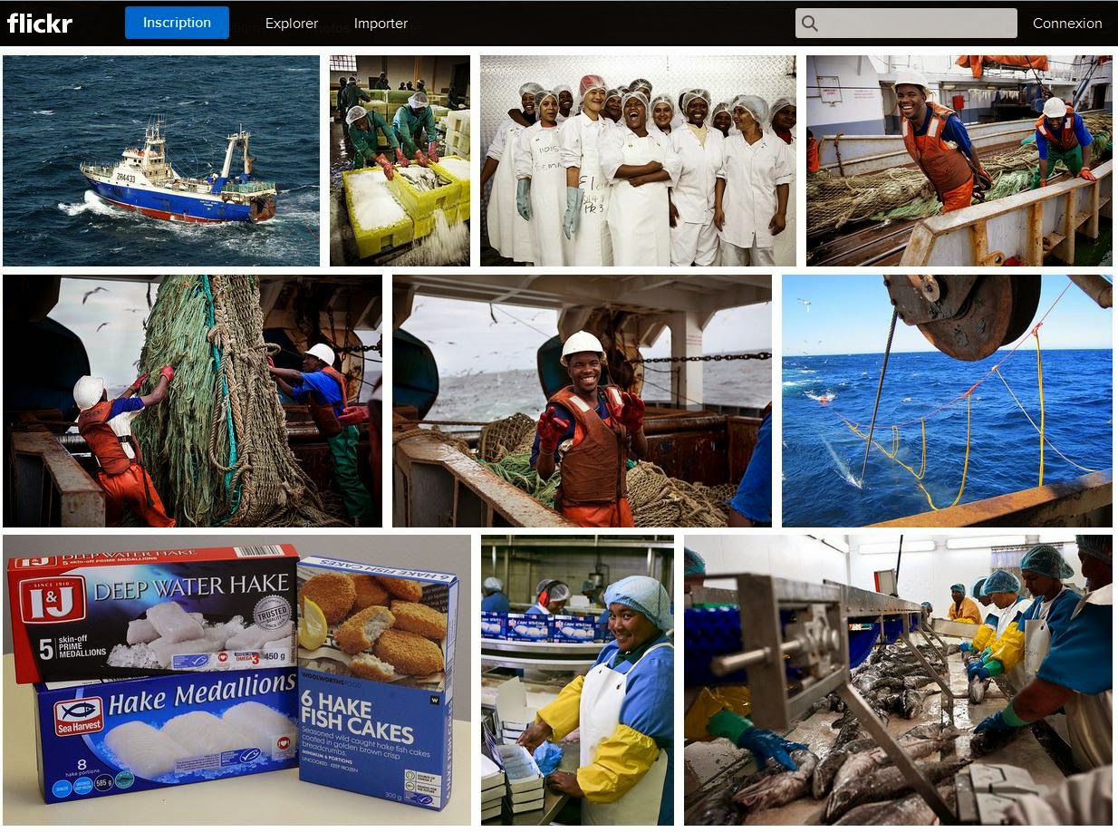 https://www.flickr.com/photos/sustainableseafood/sets/72157646958755698/