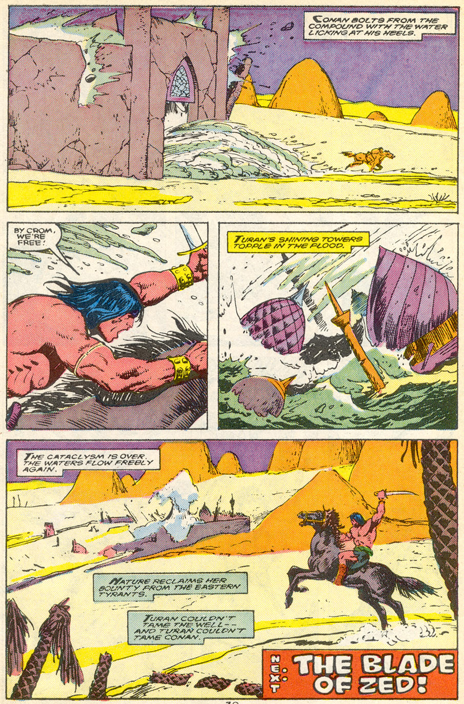 Read online Conan the Barbarian (1970) comic -  Issue #215 - 23