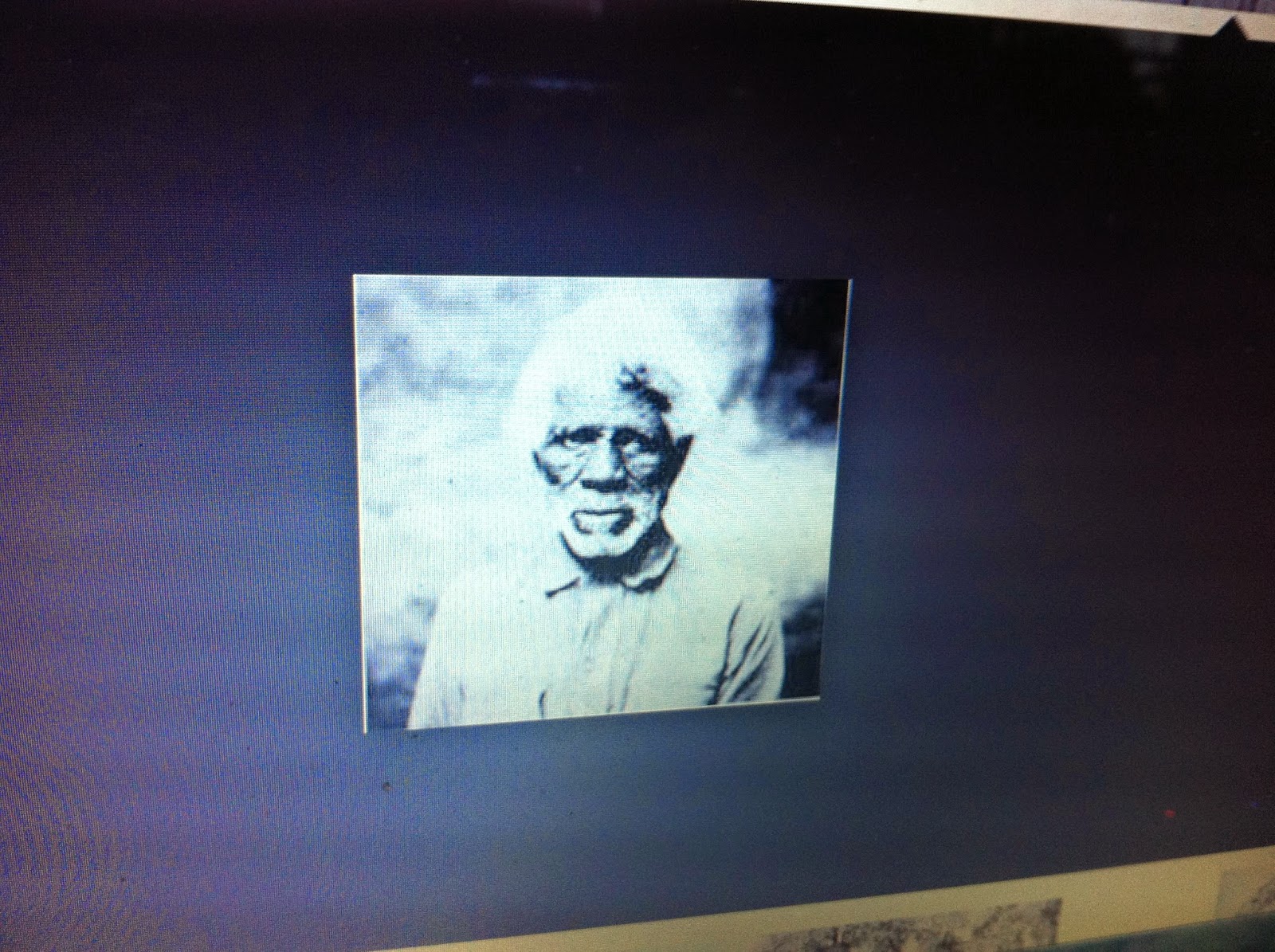 THE BLACK SOCIAL HISTORY BLACK SOCIAL HISTORY AFRICAN AMERICAN