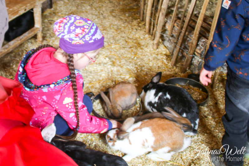 Jolinas Welt Centerparcs Bostalsee Der Kinderbauernhof Und Pony