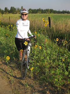 Roadside flowers match the yellow flower on my bike's saddlebag near McArthur, CA