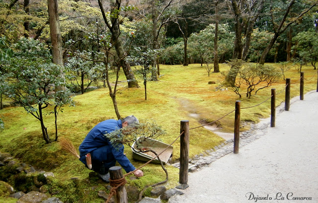 Día 12 - Kyoto (Ginkakuji - Palacio Imperial - Kiyomizu - Gion) - Japón primavera 2016 - 18 días (con bajo presupuesto) (8)