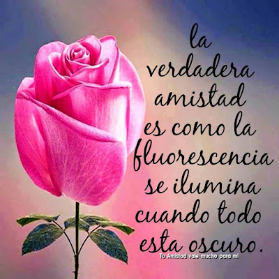 frases reflexivas de amistad