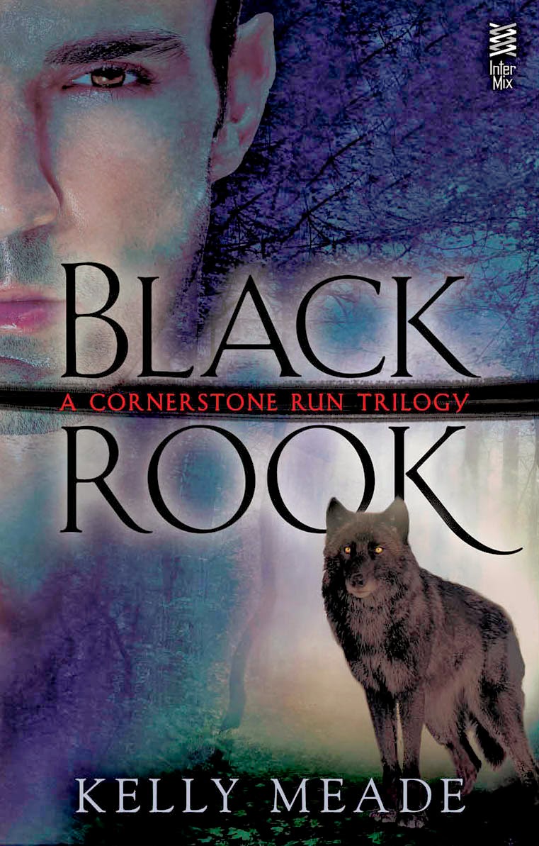 Black Rook (Cornerstone Run #1)