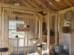 coop chicken come tour horizon structures eggs chickens