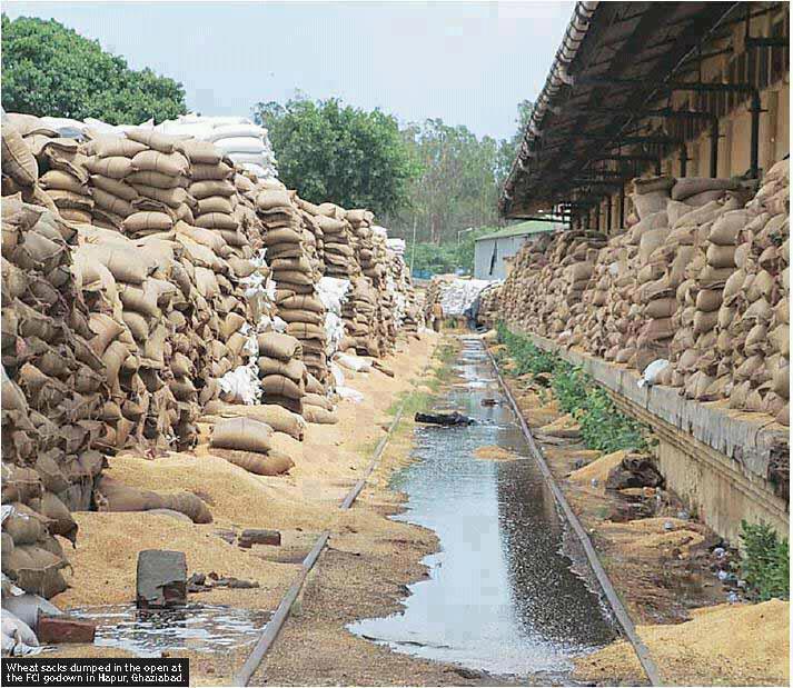 Corporate Social Reinvention Be the first Grain Storage, Food