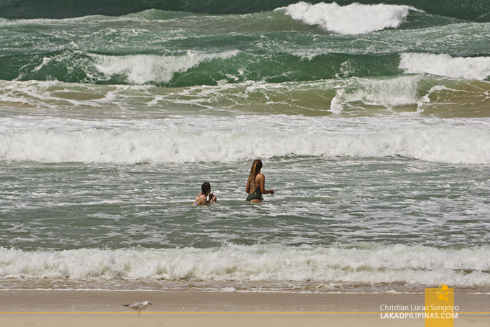 Surfers Paradise Gold Coast Beach