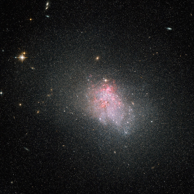Dwarf Irregular Galaxy NGC 3738