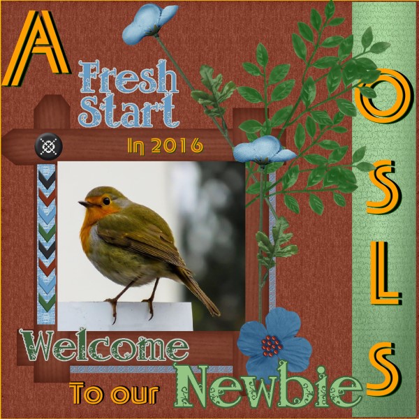 Jan.2016 – A Fresh new start in OSLS