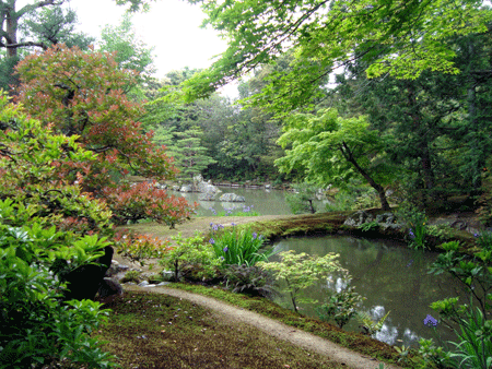 Jardines del Templo Kinkakuji en Kioto.