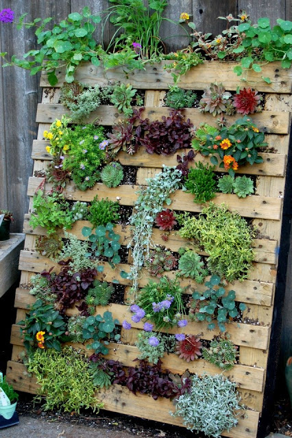 IDENTITÀ MARCENARIA ART & DESIGN: JARDINS VERTICAIS IDENTITÀ MARCENARIA ART & DESIGN: JARDINS VERTICAIS