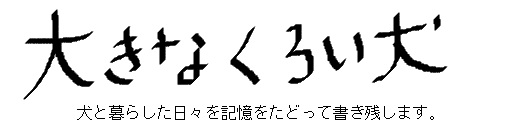 大きなくろい犬　ー追懐の記録ー