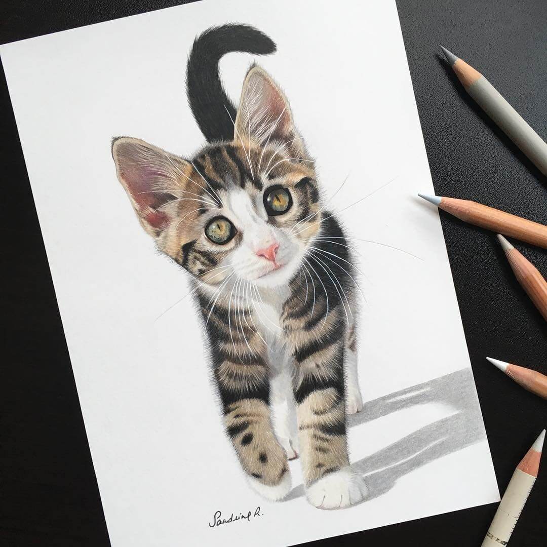 Design Stack A Blog About Art Design And Architecture Sweet Realistic Animal Portrait Drawings