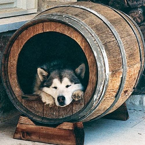 Barrel Pet House
