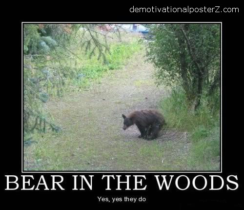 do bears shit in the woods