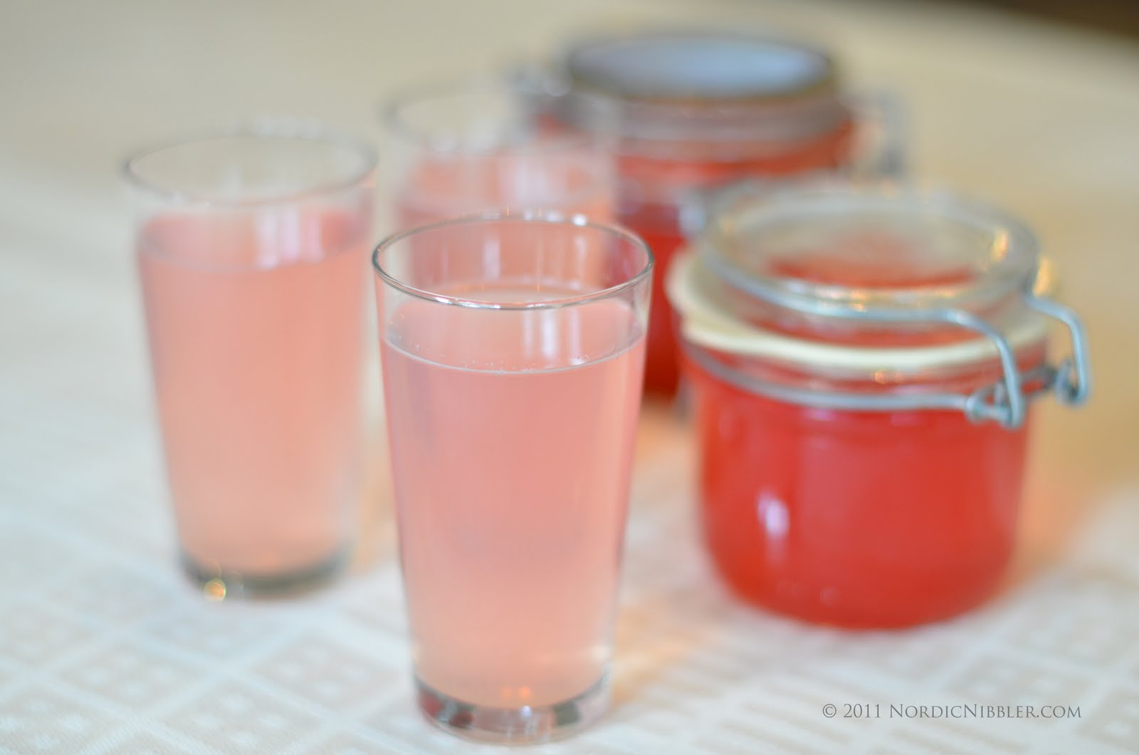Nordic Nibbler Rhubarb Cordial and a Rhubarb Gin & Tonic Recipe
