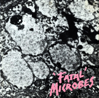 Old Weak But Always A Wanker The Punk Years Fatal Microbes