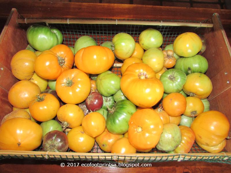 Eco Footprint South Africa What a week...