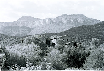 Masies de les Guilleries i Collsacabra