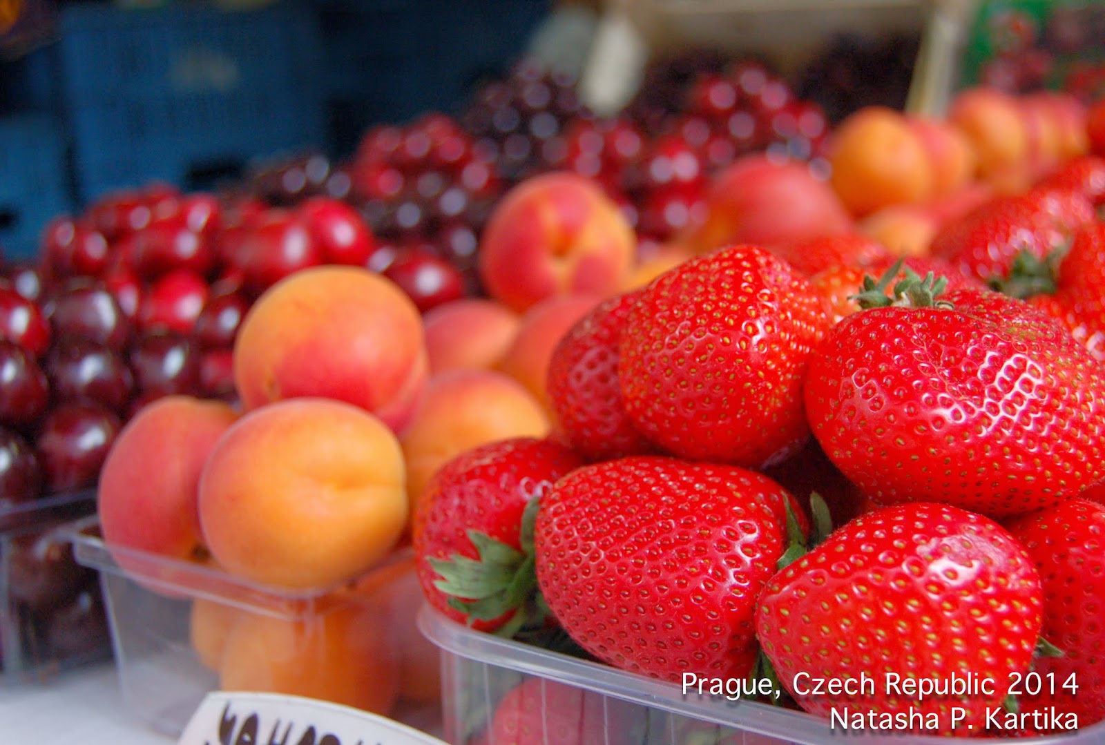 Almost A Week in Prague Part 3