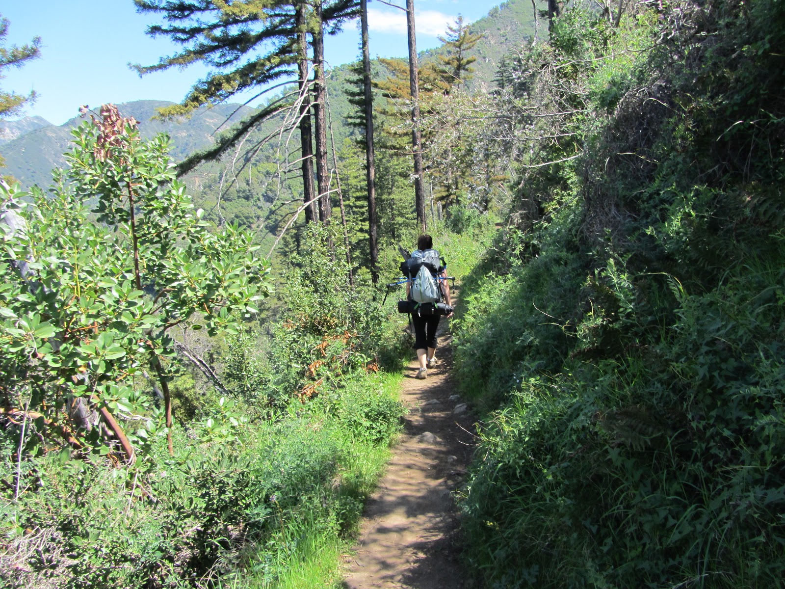 Pine Ridge Trail To Sykes Hot Springs We Be Trekkin: Pine Ridge Trail to Sykes Hot Springs- Big Sur, CA